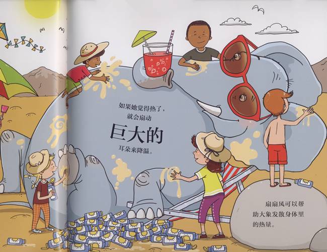 奇思妙想科普绘本解读,儿童必看的自然科普绘本