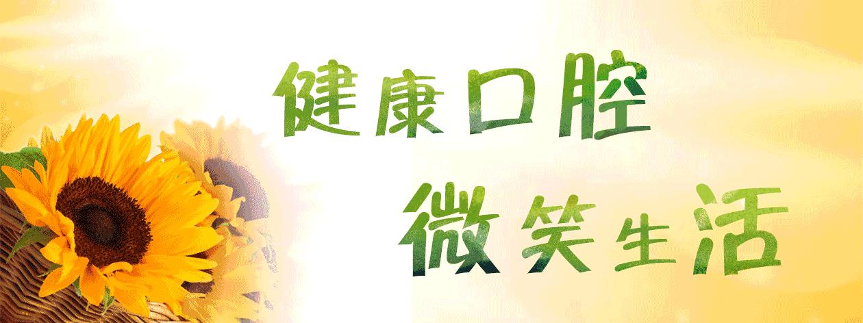 2019年三明各县录取分数线,2019三明市各县高考喜报