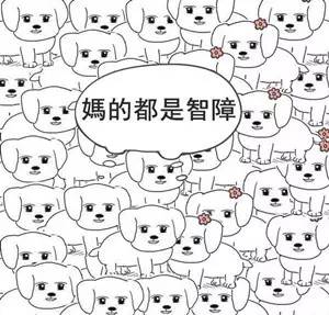 体育画报女郎图片,体育画报2010封面女郎