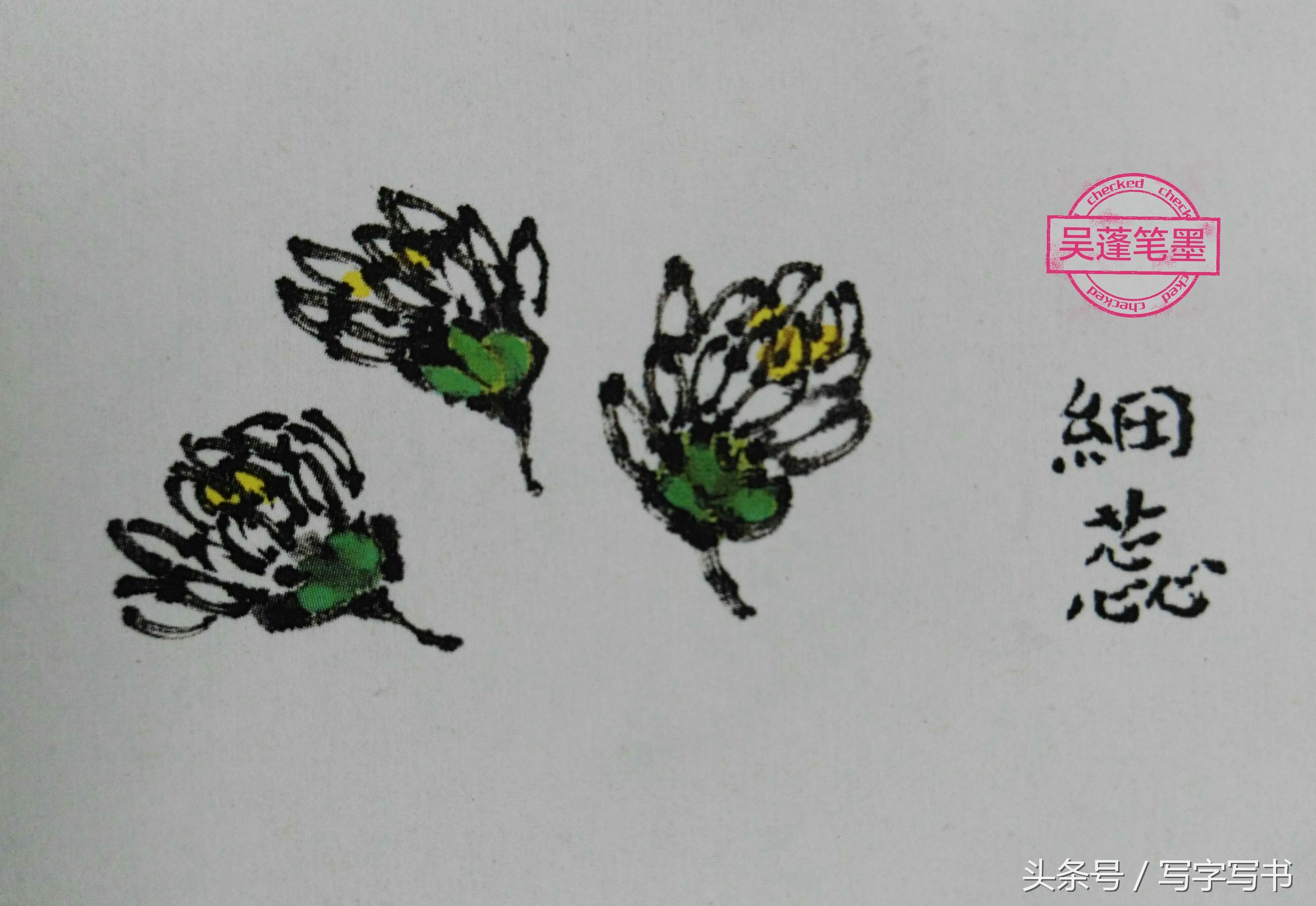 工笔画梅兰竹菊画法大全第一部分,墨牡丹花画法技巧