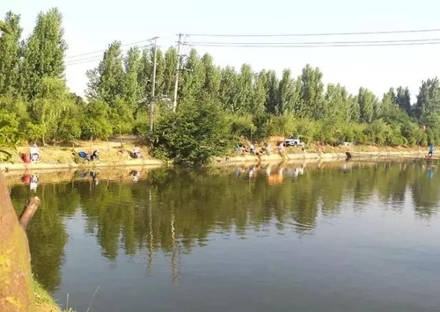 河南最近有哪些钓鱼比赛,南阳钓鱼竞技比赛