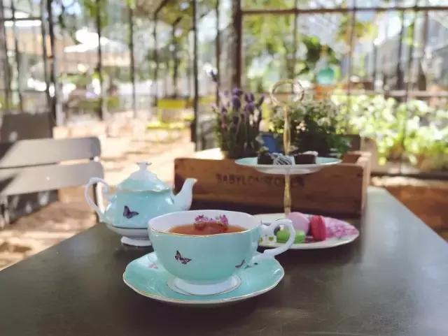 米兰达可儿优雅迷人又亮眼又吸睛,米兰达可儿冻龄护肤秘诀