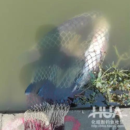 竿长跟漂的关系,竿长与漂重