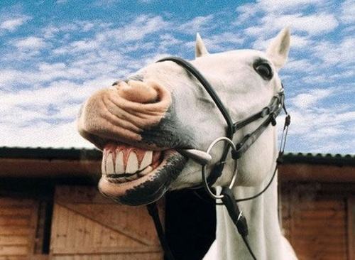 经典搞笑聊天语录,经典套路语录搞笑