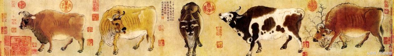 国画荷花鱼还有鸟的寓意,花鸟国画中的寓意