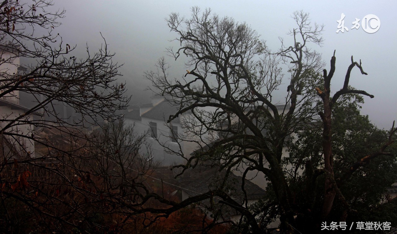 我心中的墨绿｜原创作文