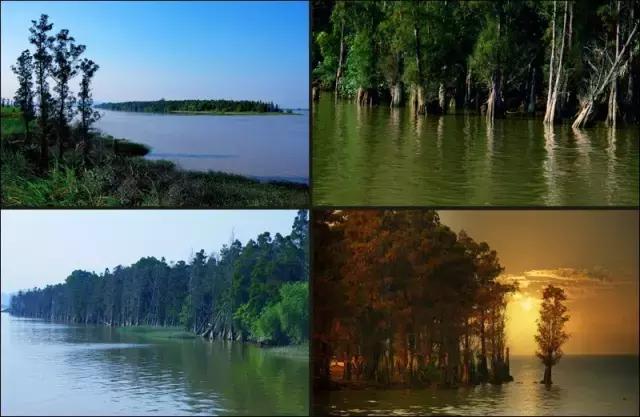 珠海值得一去的景点,珠海一日游最值得去的地方