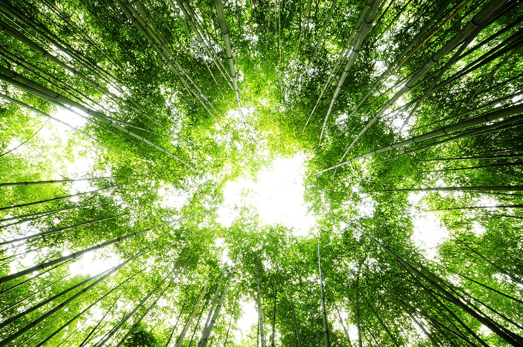 欢乐颂咖喱咖喱插曲,欢乐颂咖喱咖喱原视频