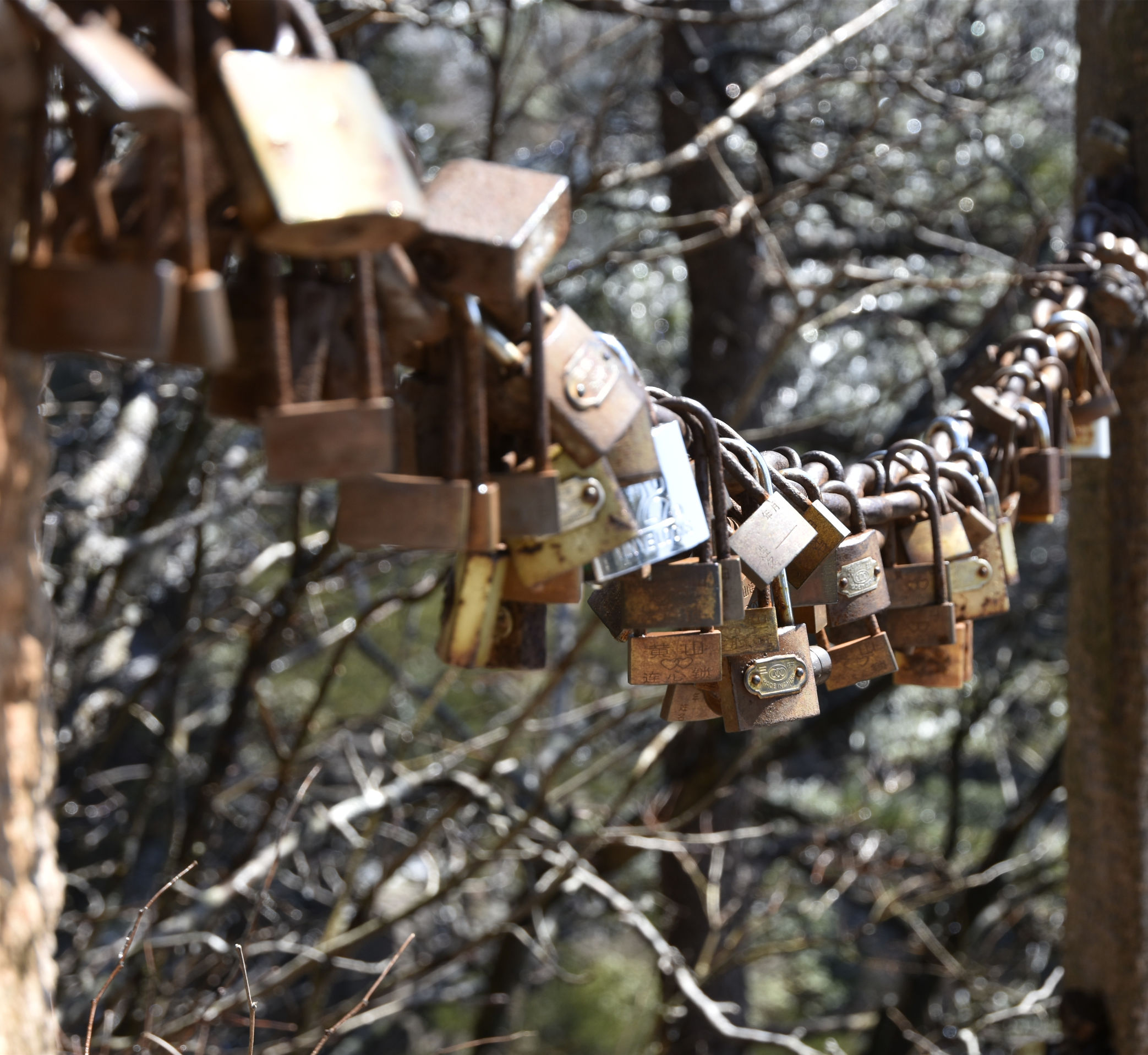 黄山连心锁在什么地方,黄山连心锁多少钱