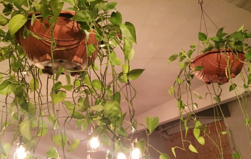 请客推荐去哪个饭店,三亚适合十个人聚餐的餐厅推荐