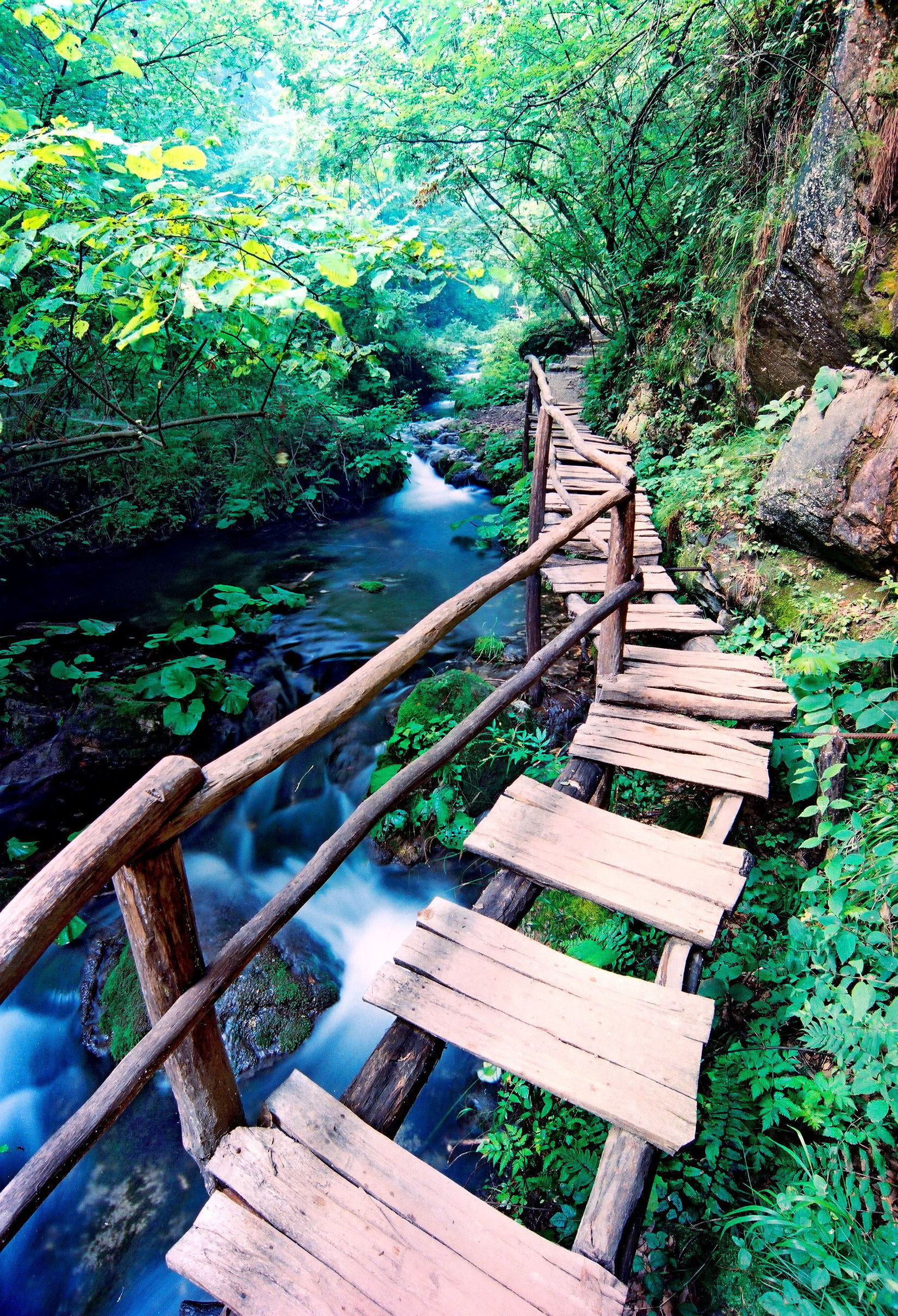 欢乐颂咖喱咖喱插曲,欢乐颂咖喱咖喱原视频