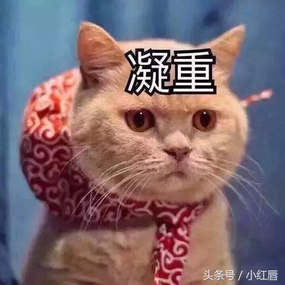 十大热卖防晒,防晒推荐公认好用第一名测评