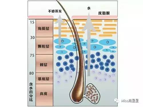 脸部凹陷法令纹用什么美容仪,stop射频美容仪祛法令纹