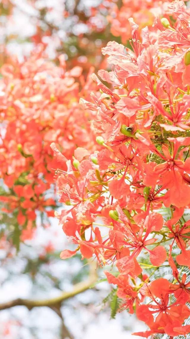 摄影师gyeonlee参加活动,gyeonlee摄影师