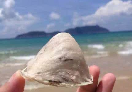 万宁兴隆居住,万宁兴隆适合居住吗