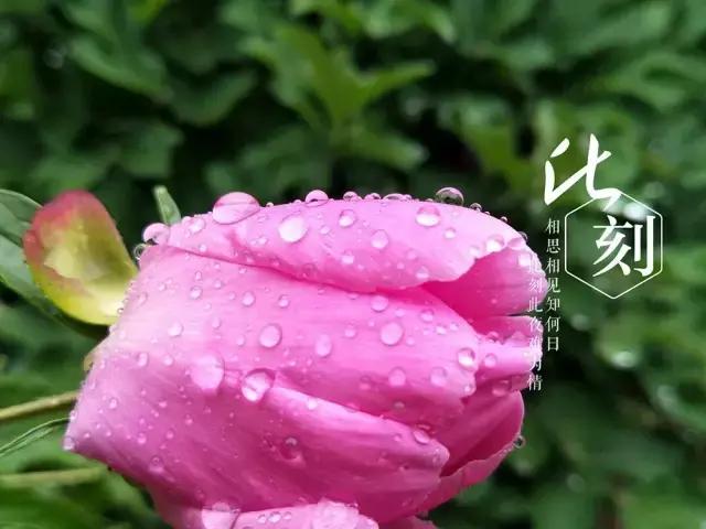 拍了那么多张，你这张照片与上一张有何不同？来看下这些评图就知道了！