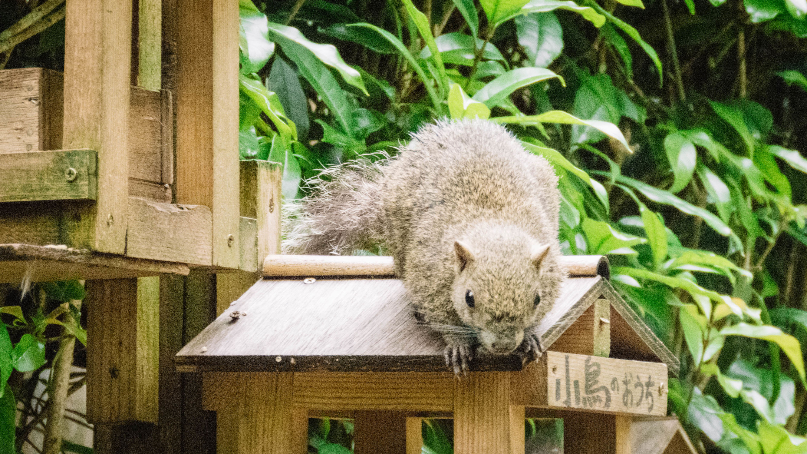 东京镰仓横滨旅游攻略,东京镰仓箱根伊豆富士山路线