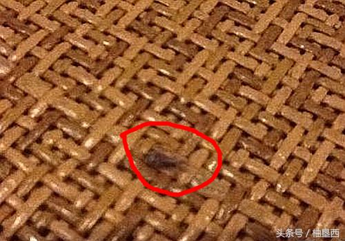 草席和凉席怎么选,夏季凉席竹席怎么选