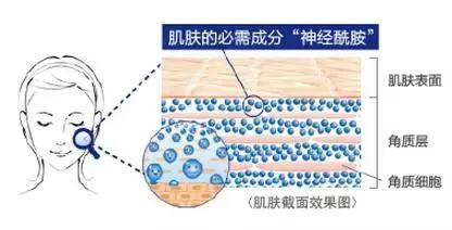 值得推荐的几款平价水乳,八款水乳排行榜