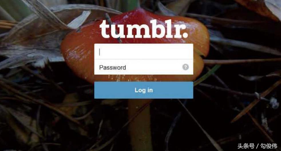 5个赚钱的创业好项目,5个行业很暴利适合创业白手起家