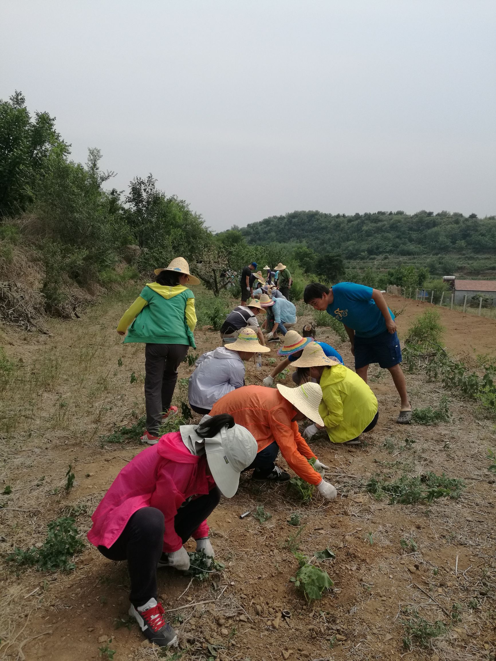 在沃思花园，感受自然与和谐