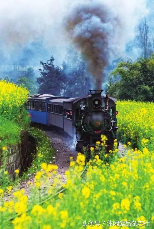 追忆永远的前进型蒸汽机车,蒸汽时代的机车已成过去