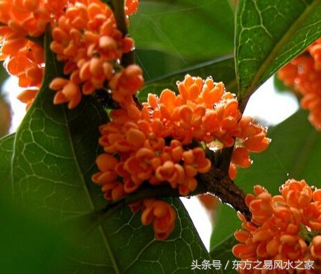 阳宅风水怎样断吉凶,风水住宅坐向如何判断