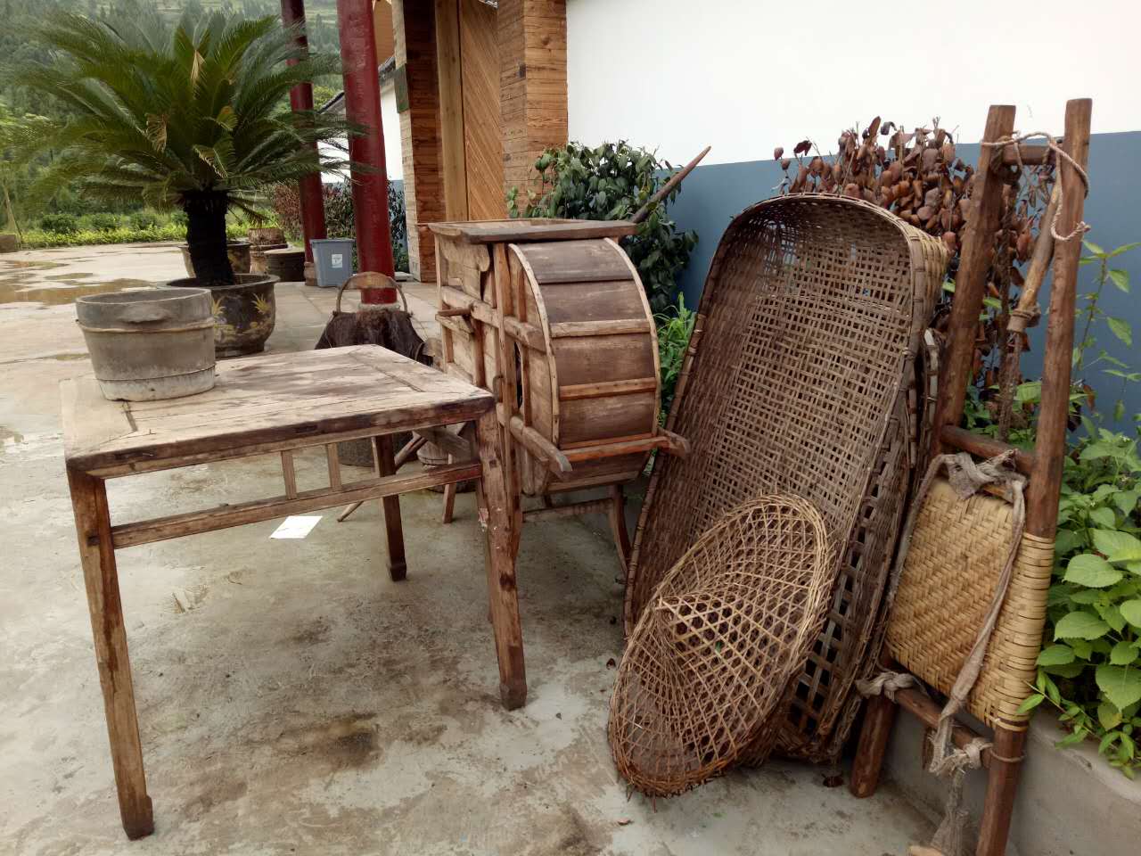 南充市世阳镇最新视频,南充世阳镇最新消息