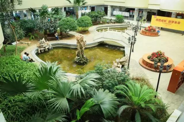 沈阳师范大学青春,再见青春沈阳