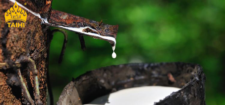 国内真正的乳胶u型枕,乳胶u型枕实惠