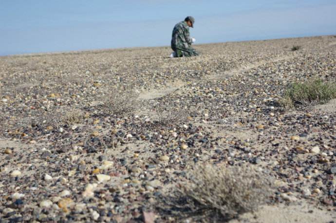 藏石者富贵,藏石者福禄寿