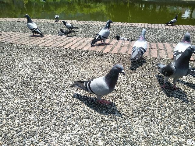 oppoa57开箱体验,oppoa57手机开箱