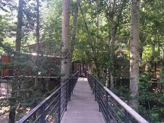 就是个简单的灶台鱼，凭什么招来那么多人？