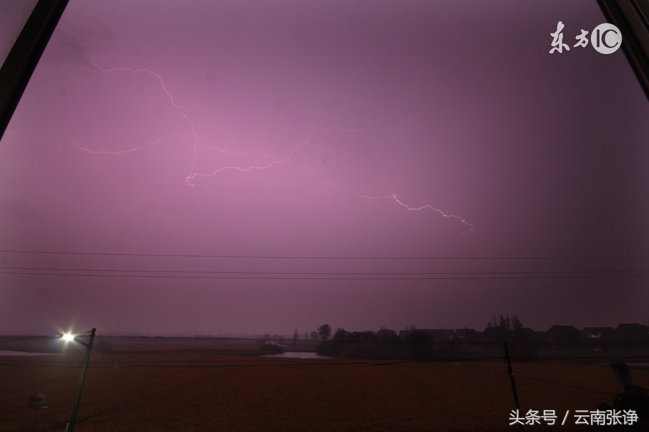拘留所完本小说,拘留所类的小说