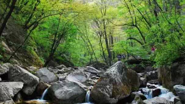 西安最有名旅游景点排名,西安十大值得去的景点排名