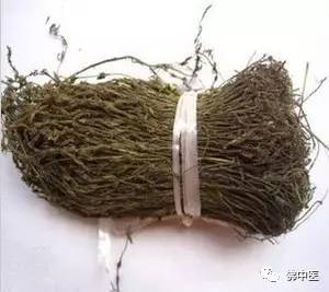 独脚金鲫鱼汤喝多久有效,养生鲫鱼汤