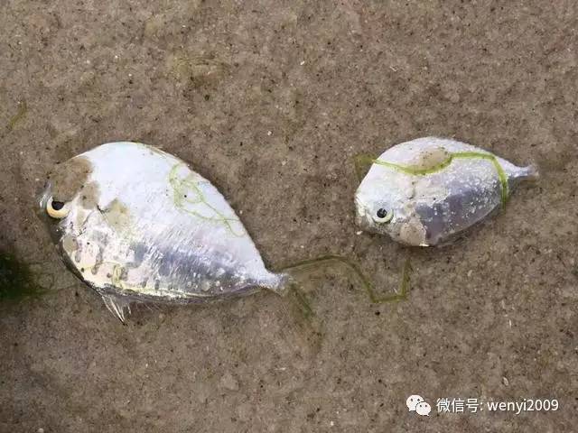 花自己的钱凭什么要感恩,花自己的钱才是硬道理