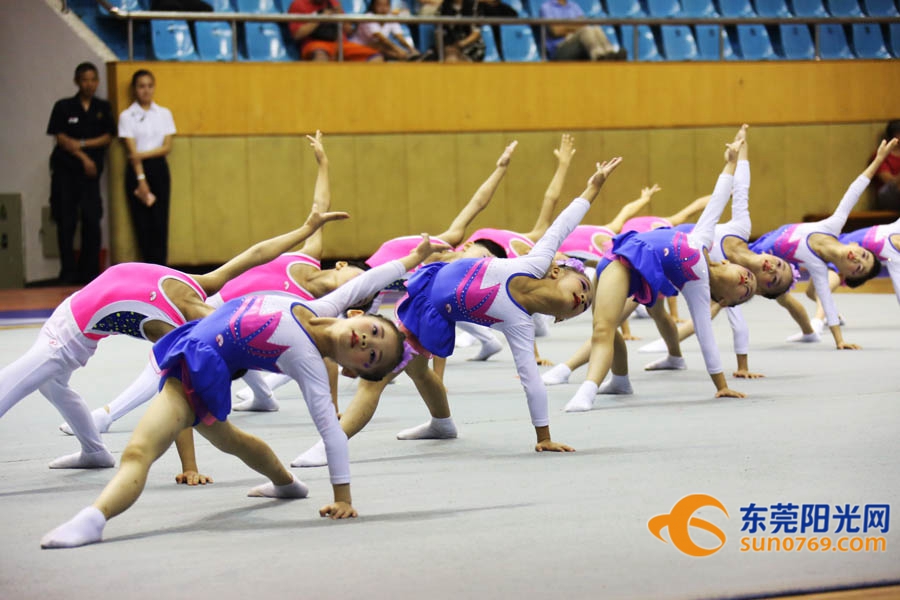 第九届东莞市市运会,2022东莞市体操锦标赛