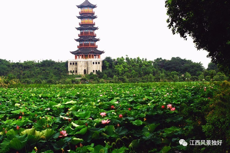 父爱如山给父亲足够的陪伴,父爱是最好的礼物