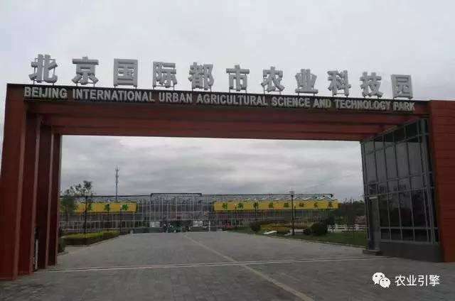 浜笢鐢熼矞鏃犲湡鏍藉煿,鏃犲湡鏍藉煿钄彍浜笢鐢熼矞