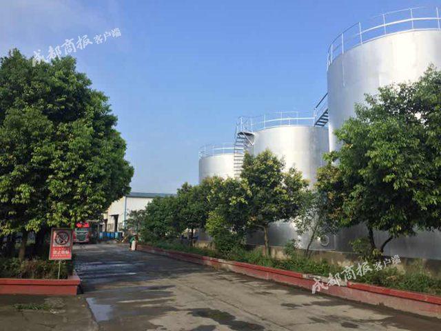 成都地沟油将变生物柴油,成都最大地沟油