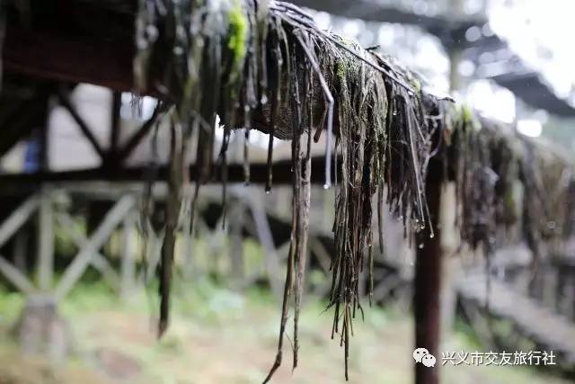 自驾二十四道拐,我爱自驾游最新视频