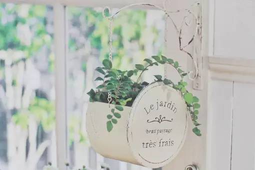 大学太远是一种什么体验,上大学离家远好吗