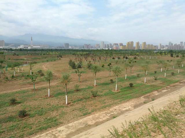 宝鸡新建公园最新规划,宝鸡市人民公园最新建设