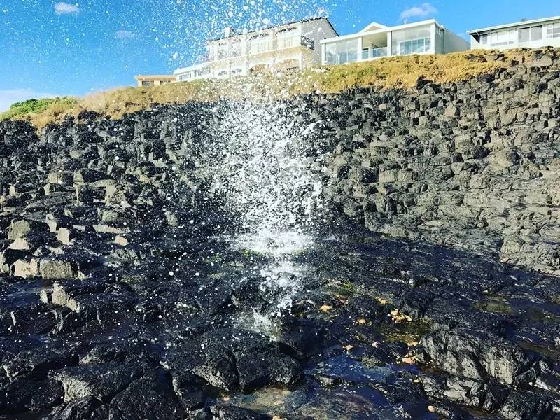 当一只“反季候鸟“,直飞到悉尼过冬天买UGG,是成都人今年暑假新玩法!