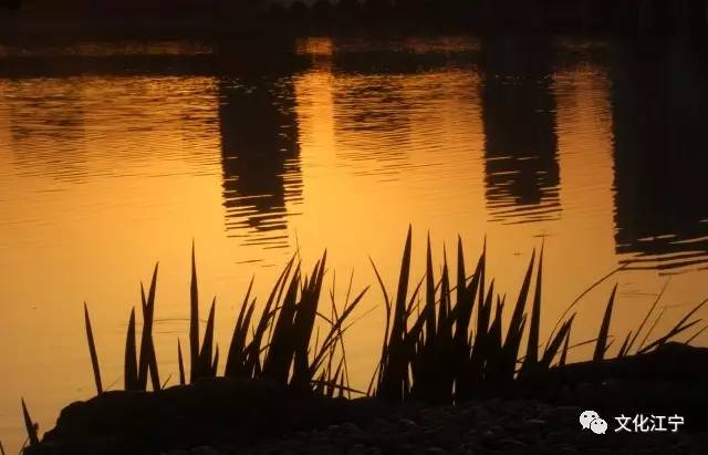 10年前江宁百家湖,南京江宁百家湖说说