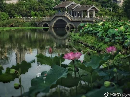 周末一日游详细攻略 (周末带你去旅行攻略)