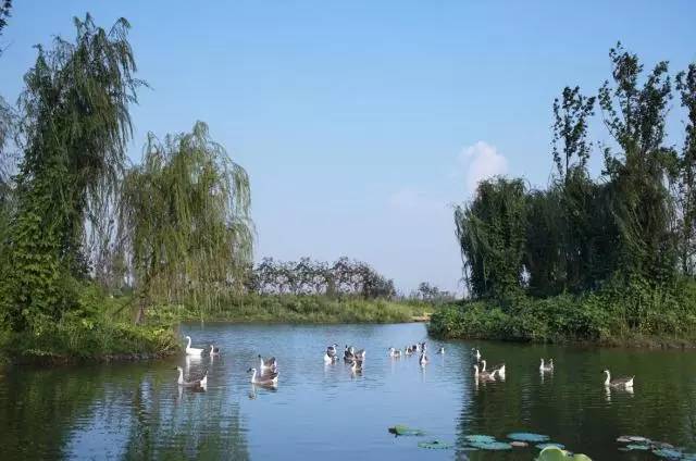 关于浐灞的历史介绍,西安浐灞发展历史