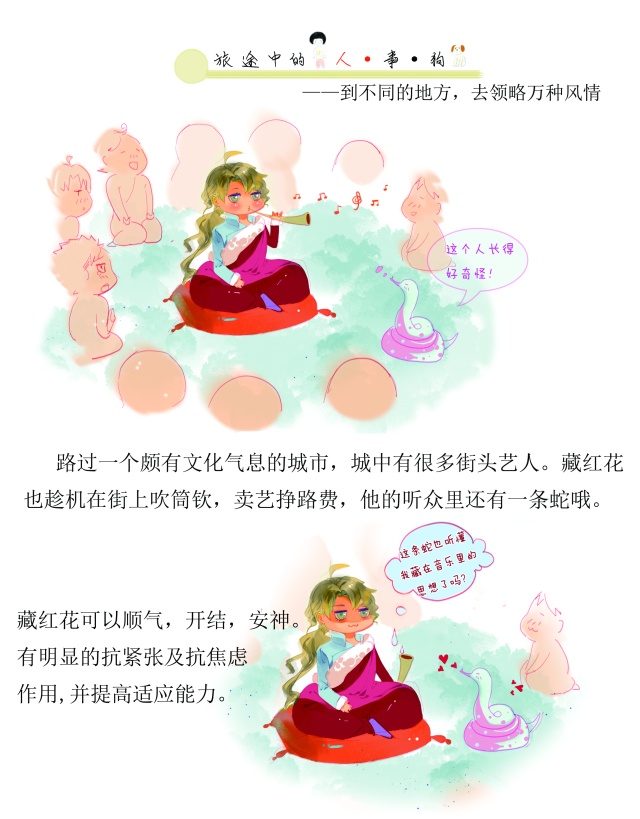 神农本草藏红花,中华本草藏红花