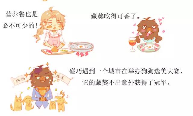 神农本草藏红花,中华本草藏红花